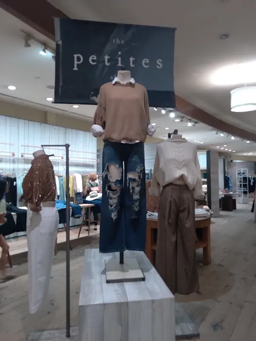 Anthropologie 3