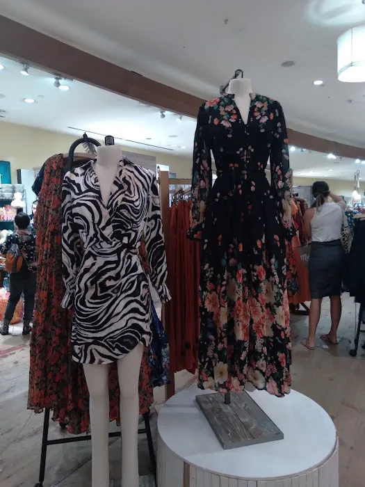 Anthropologie 1