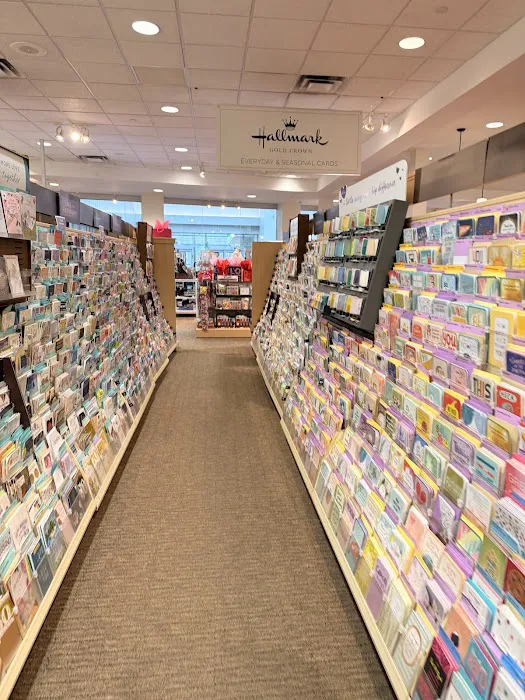 The Paper Store 3
