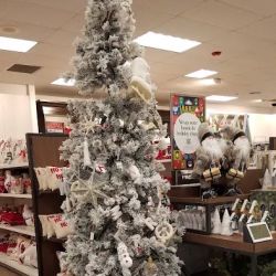 Kohl's ico
