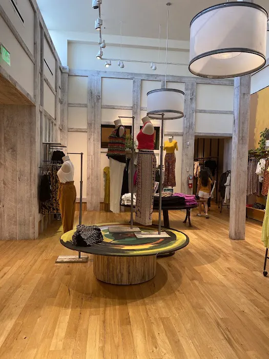 Anthropologie 2