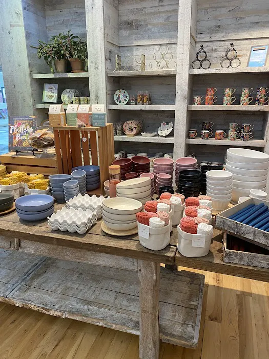 Anthropologie 8
