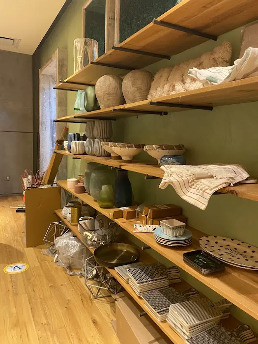 Anthropologie 3