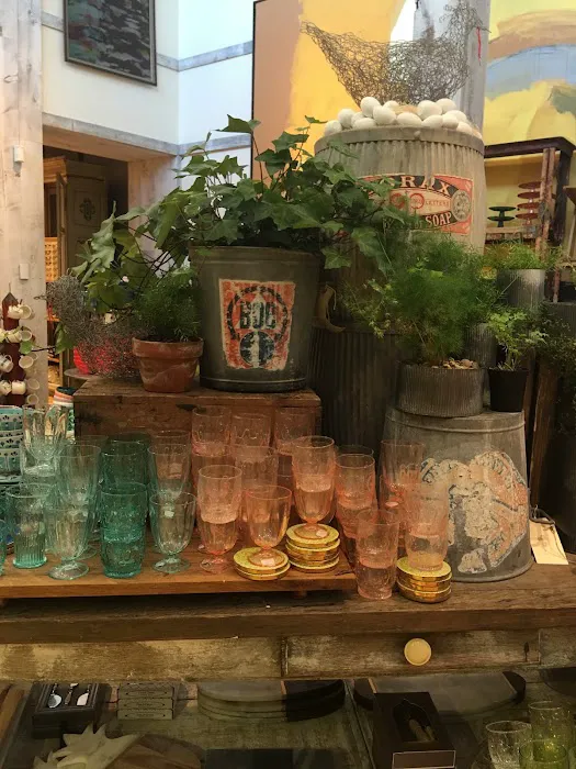 Anthropologie 1