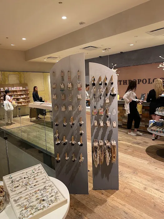 Anthropologie 1