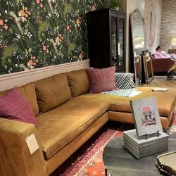 Anthropologie ico