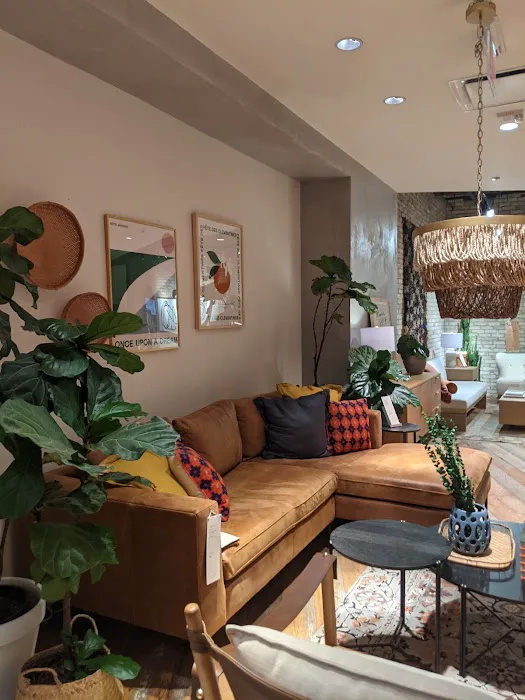 Anthropologie 5