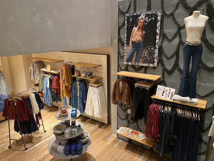 Anthropologie 2