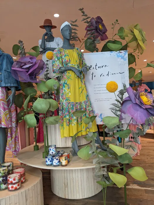 Anthropologie 4