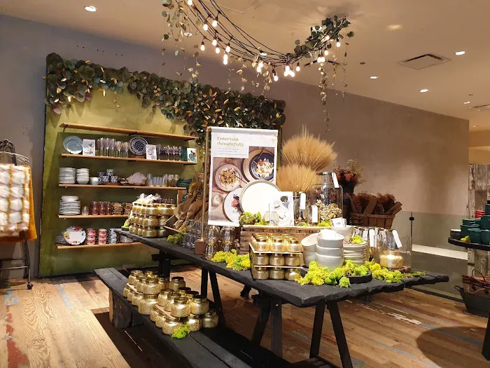 Anthropologie 7