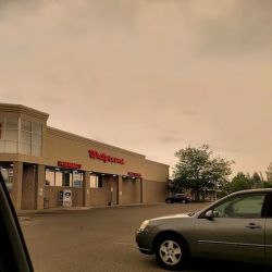 Walgreens ico