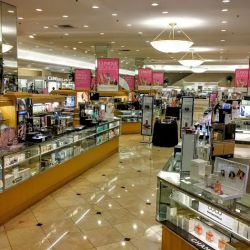 Dillard's ico