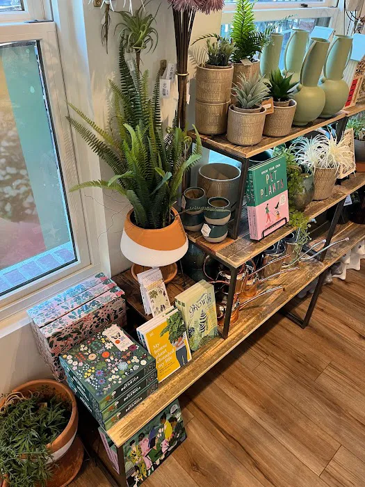 Freshie & Zero Studio Shop 7