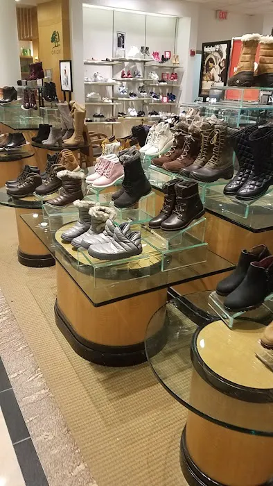 Dillard's 9