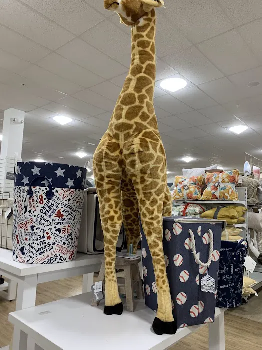 T.J. Maxx & HomeGoods 3