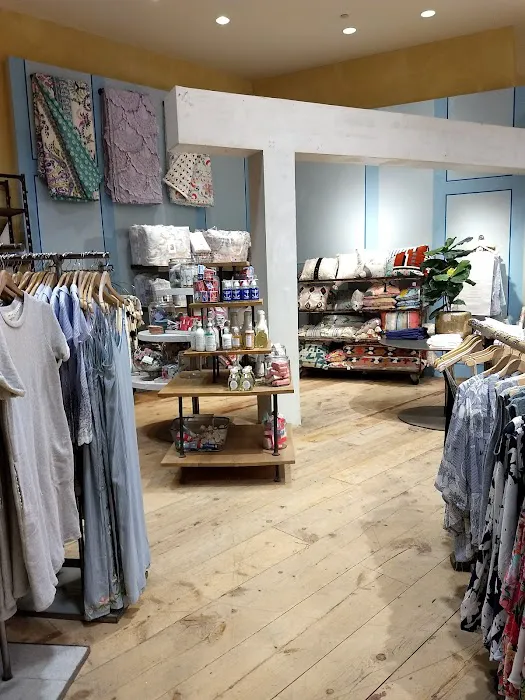 Anthropologie 0