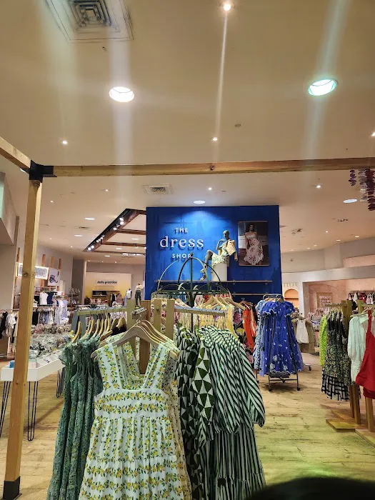 Anthropologie 1