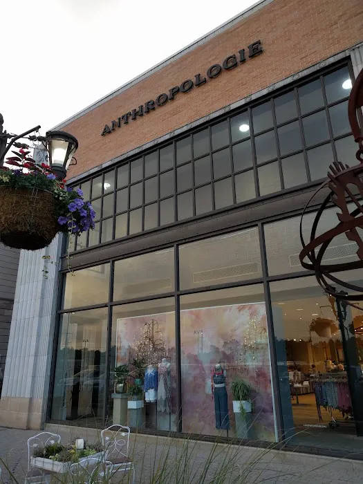 Anthropologie 2