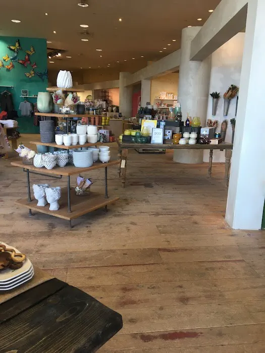Anthropologie 3