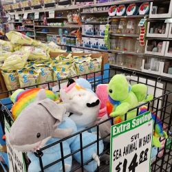 WinCo Foods ico
