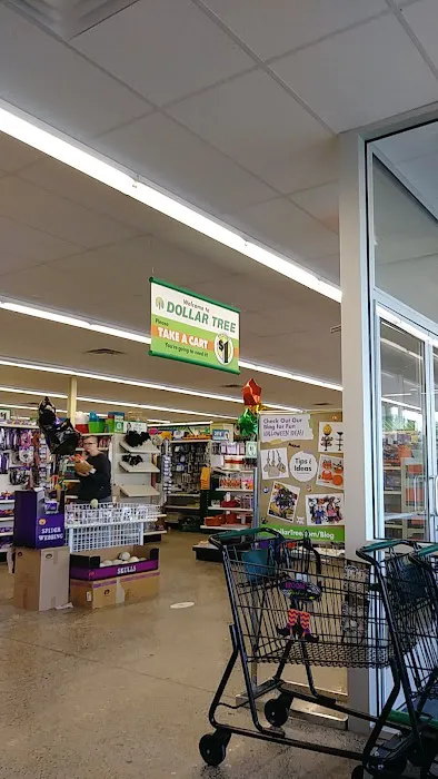 Dollar Tree 1