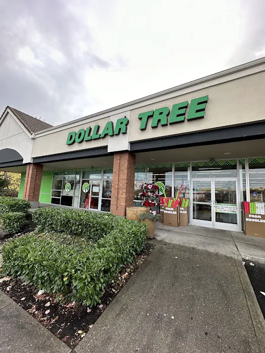 Dollar Tree 6