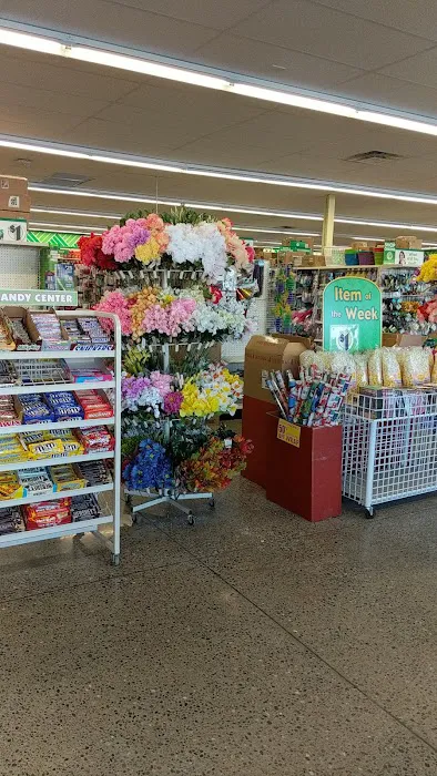 Dollar Tree 7