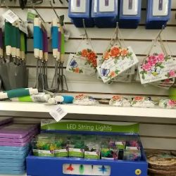 Dollar Tree ico