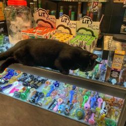 Grafitti Hot Gifts & Cool Things Smoke and Vape Shop ico