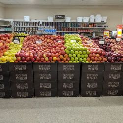 Stop & Shop ico