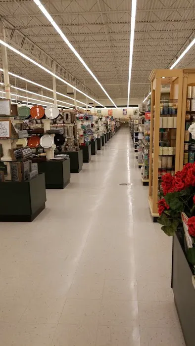Hobby Lobby 6