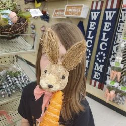 Hobby Lobby ico