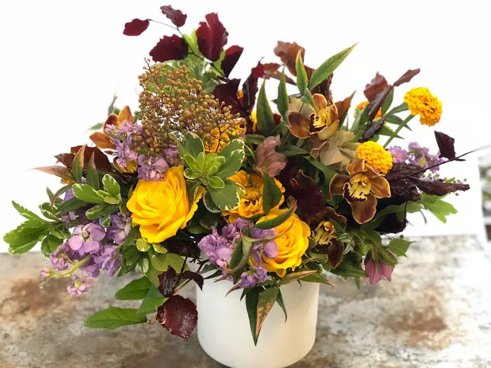 Blooms 1