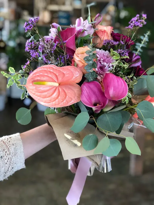 Blooms 0