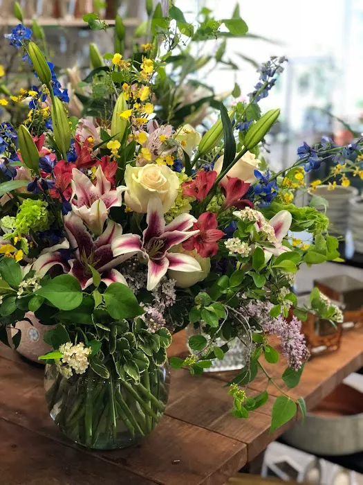 Blooms 4