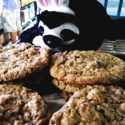 Great Harvest Bread Co. ico
