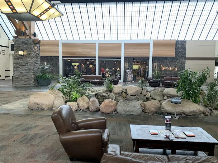Williams-Sonoma 6