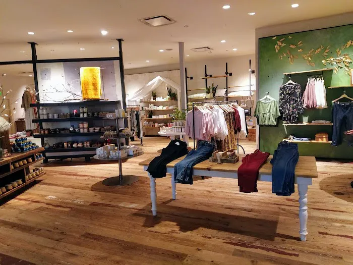 Anthropologie 3