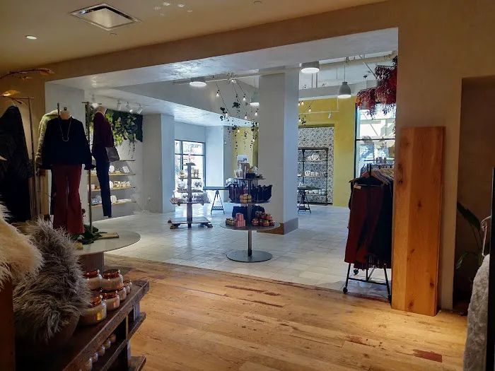 Anthropologie 5