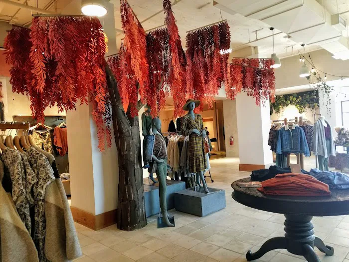 Anthropologie 4
