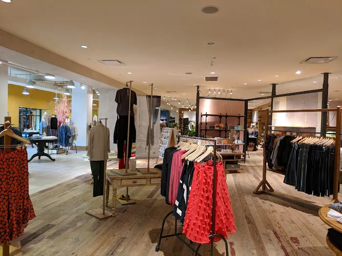 Anthropologie 0