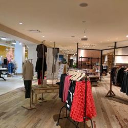 Anthropologie ico