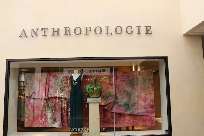 Anthropologie 2