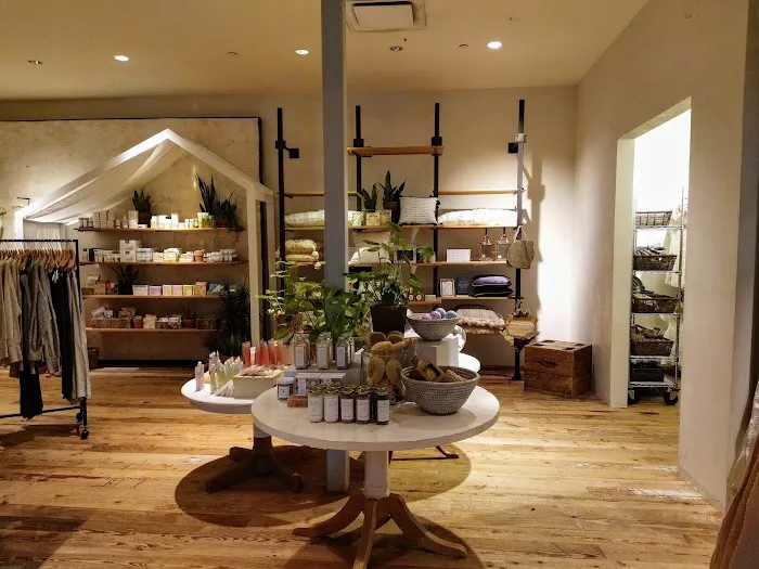 Anthropologie 7