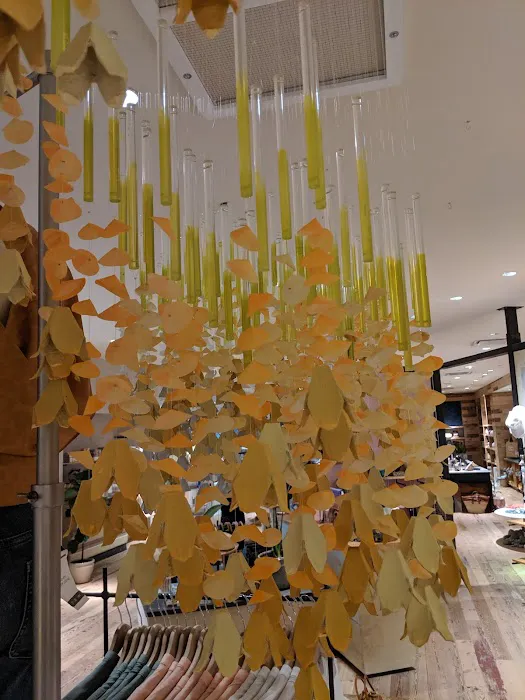 Anthropologie 8