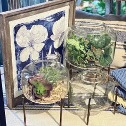 Prairie In Bloom Downtown ico