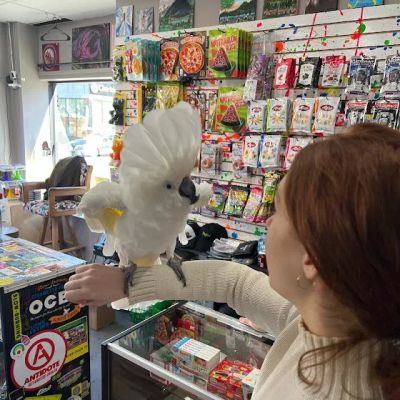 Super Groovy's Psychedelic Bodega Smoke Shop | Vapes, HHC, CBD, Kratom, Glass