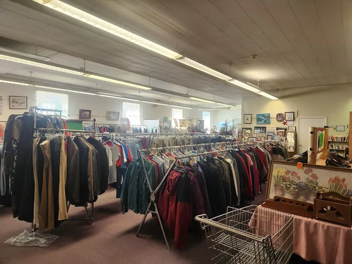 Surprise Thrift Shop 2