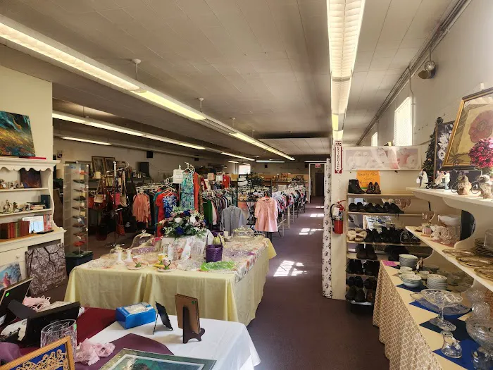 Surprise Thrift Shop 5