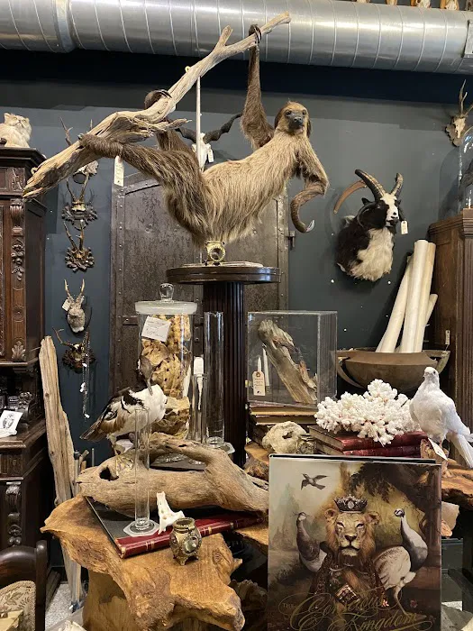 Twelve Vultures 5